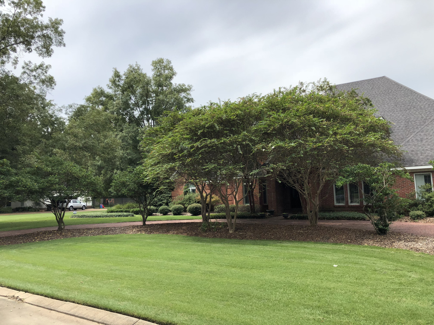 Lawn fertilization in Clarksdale MS with clean edging and thick turf
